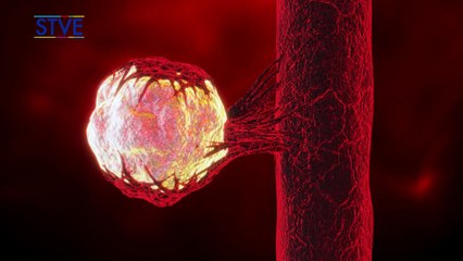 Ilustrando tu mente: ¿Por qué nos da fiebre?