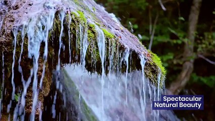 Why You Should Visit Benang Stokel and Benang Kelambu Waterfalls