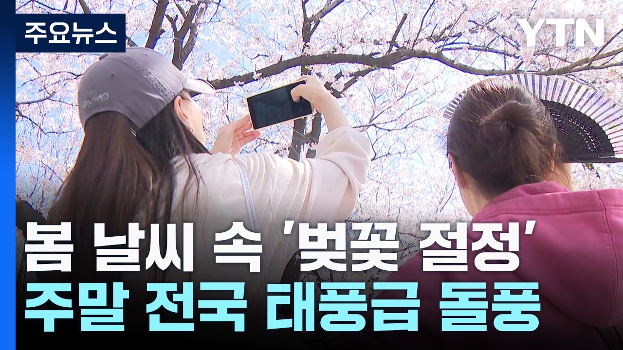 [날씨] 절정 벚꽃, 일주일 만에 엔딩 위기?...주말 태풍급 돌풍 / YTN