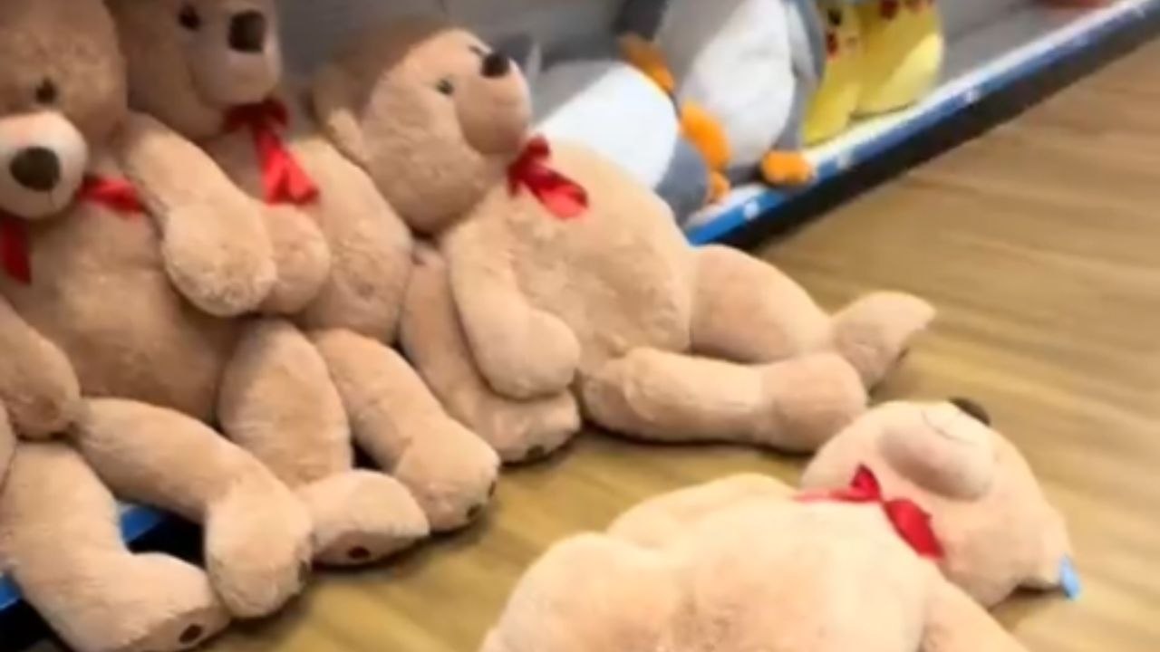 TikTok influencer tries a trick on teddy bear but ends up falling face-first