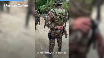 Biologo ucciso in Colombia, il video dei guerriglieri: "Non c'entriamo nulla con l'omicidio di Alessandro Coatti"