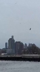 Reconstrucción visual del accidente de helicóptero: lo que se sabe del siniestro