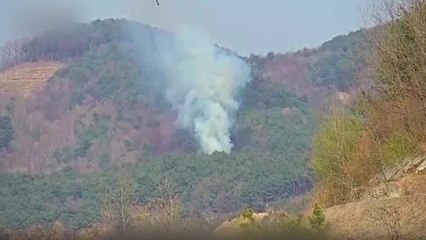 충남 서천·천안에 산불...진화 완료 / YTN