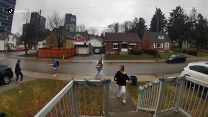 Students Trapped Inside for Days After Angry Geese Take Over Front Lawn