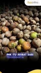 Riau Provinsi Ke-2 Terbanyak PHK di Indonesia, Gubernur Ungkap Penyebabnya