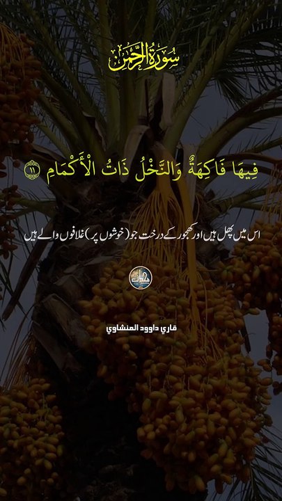 quran recites #quran #viral