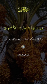 quran recites #quran #viral