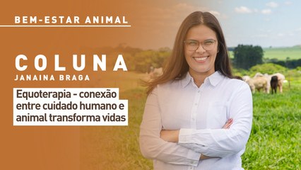 Bem-estar animal: equoterapia - conexão entre cuidado humano e animal transforma vidas