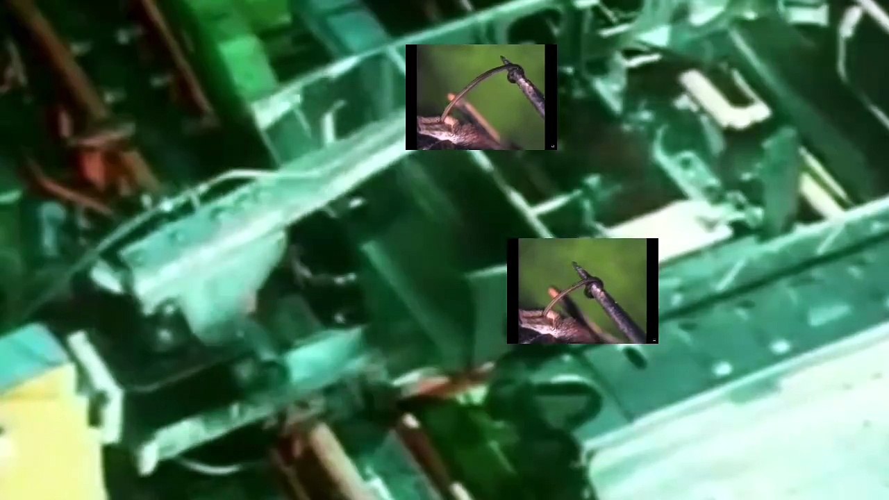 CINÉ QUA NON