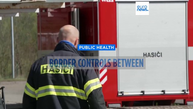 Czech Republic maintains border checks as Slovakia tackles foot-and-mouth disease