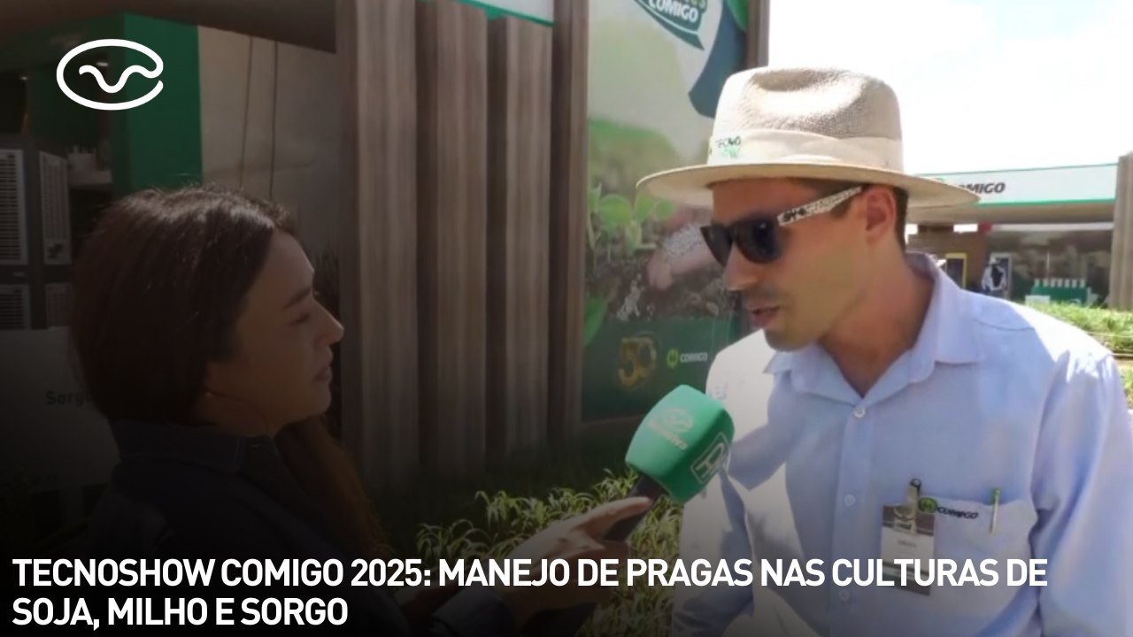 Tecnoshow Comigo 2025: manejo de pragas nas culturas de soja, milho e sorgo