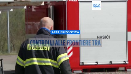 Afta epizootica, Praga mantiene i controlli alla frontiera cecoslovacca per impedire il contagio