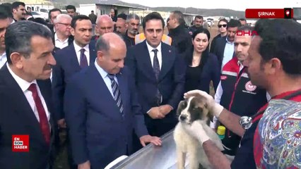 Şırnak'ta tüm sokak hayvanları yeni merkezde toplanacak