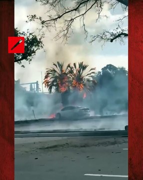 Tres personas murieron y una resultó herida tras estrellarse una avioneta en el sur de Florida