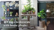 Decorating With Plants