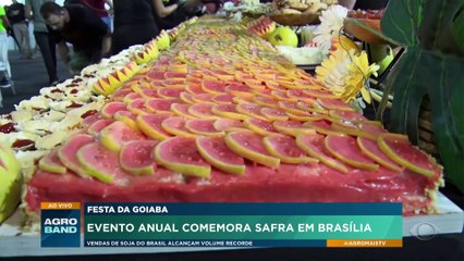 Festa da goiaba: evento anual comemora safra em Brasília