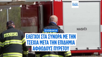 Σλοβακία: Έλεγχοι στα σύνορα με την Τσεχία μετά την επιδημία αφθώδους πυρετού