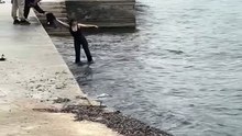 Soğuk havaya aldırış etmeden, denize düşen kediyi kurtarmak için hemen suya atlayan kahraman kadın 👏🏻