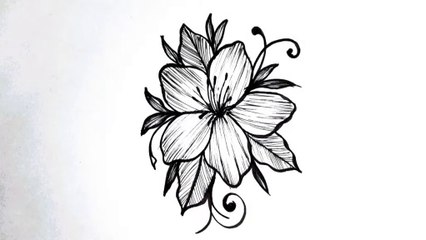 How to Draw a Beautiful Flower _ Easy Flower Drawing Tutorial for Beginners