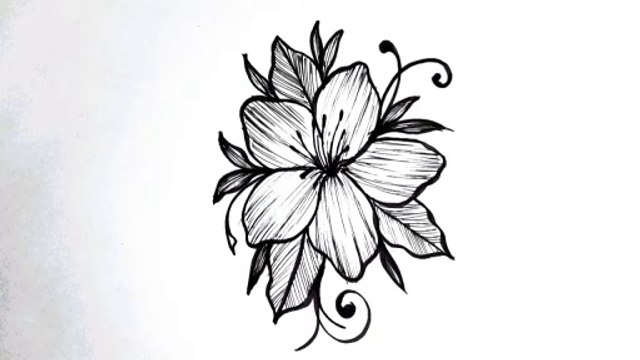 How to Draw a Beautiful Flower _ Easy Flower Drawing Tutorial for Beginners