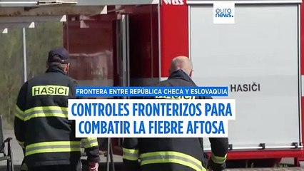 La República Checa mantiene los controles fronterizos mientras Eslovaquia lucha contra la fiebre aftosa