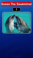 Can You Guess These Amazing Sea Creatures #shorts