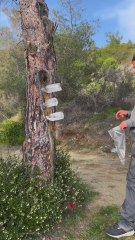 How to Turn Tree Matter into a Magnifier Glass 🔍🌳 Crazy DIY Hack!