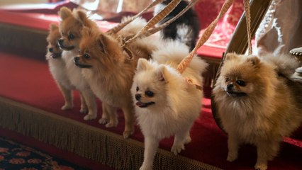 La chronique des Bridgerton