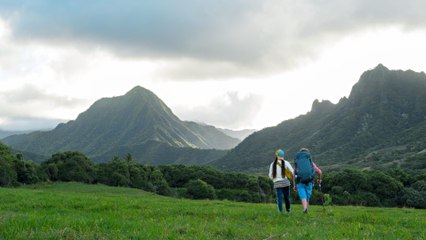 Ohana ou le trésor caché
