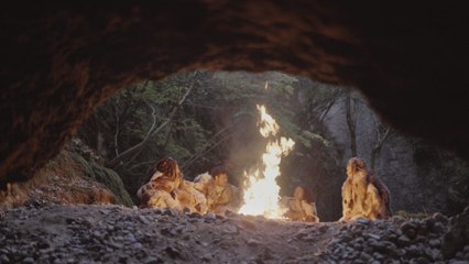 Chauvet, voyage aux origines