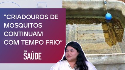 Infectologista: “É importante continuarmos as precauções contra a dengue mesmo no outono” | JP SAÚDE
