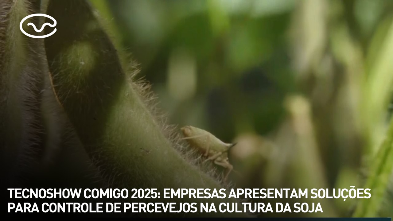 Tecnoshow Comigo 2025: empresas apresentam soluções para controle de percevejos na cultura da soja