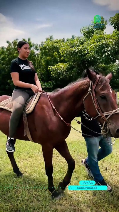 🐎✨ El poder sanador de los caballos