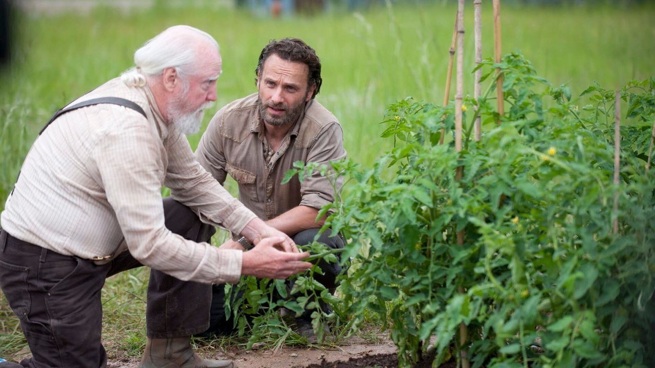 The Walking Dead