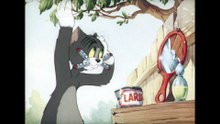 13. 祖鲁猫 Tom & Jerry