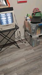 closing to d2 the mighty ducks