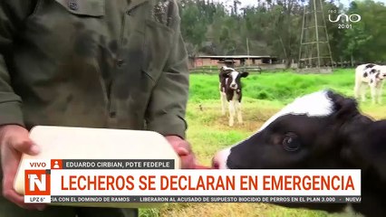 lecheros en emergencia