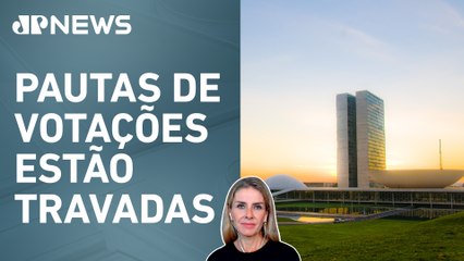 Congresso vai analisar vetos presidenciais em maio; Deysi Cioccari avalia