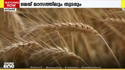 ഒമാനിലെ വിവിധ ഗവർറേറ്റുകളിൽ ഗോതമ്പ് വിളവെടുപ്പിന് തുടക്കമായി