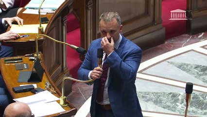 3ème séance : Simplification de la vie économique (suite) - Jeudi 10 avril 2025