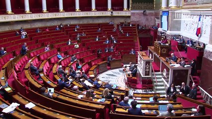 1ère séance : Simplification de la vie économique (suite) - Vendredi 11 avril 2025