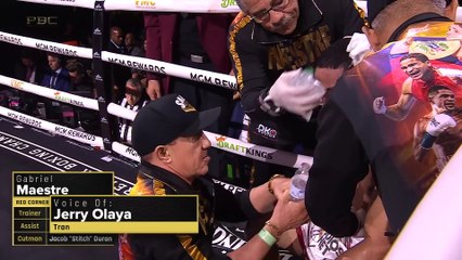 EIMANTAS STANIONIS VS GABRIEL MAESTRE FULL FIGHT