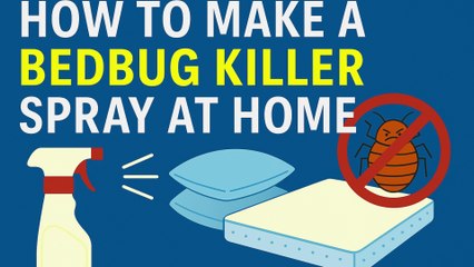 How to Make a Bedbug Killer Spray at Home (Safe & Powerful