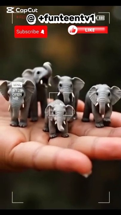 Animal's Babies जानवरों के बच्चे #funny #cute #viralvideo #trending #music #shorts #trendingshorts