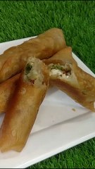 Spring Roll Recipe by Foodstylewz