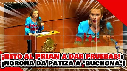 ¡RETO AL PRIAN A DAR PRUEBAS VS. AMLO! ¡NOROÑA le da UNA BRUTAL PATIZA a la BUCHONA de MOREIRA!