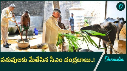 CM Chandrababu: ఆగిరిపల్లిలో పాడిరైతు కోటయ్యతో సీఎం చంద్రబాబు ముచ్చట్లు | Oneindia Telugu
