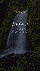 Surah Yusuf 12:86 - سورة يوسف