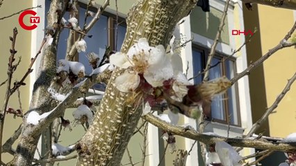 Sivas nisanda eksi 17'yi gördü