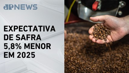 Preço do café deve continuar nas alturas durante todo o ano